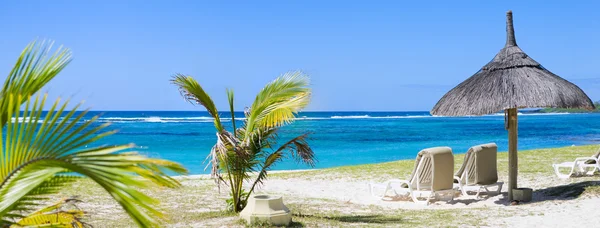 Tropikalny Raj Leżaki Przy Tropikalnej Piaszczystej Plaży — Zdjęcie stockowe