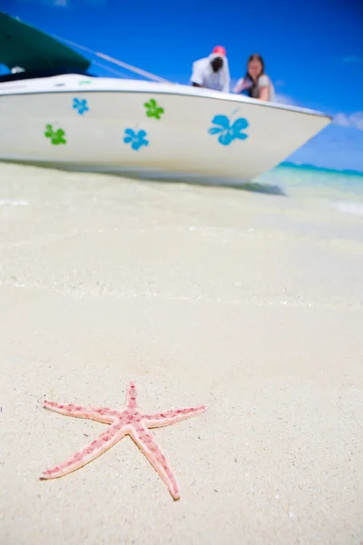 Stella Marina Sulla Spiaggia Tropicale Sabbia Bianca — Foto Stock