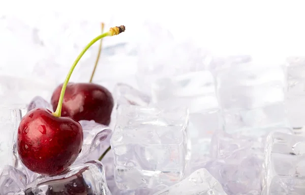Ice Cherries Fresh Cherries Ice Cubes — Stock Photo, Image