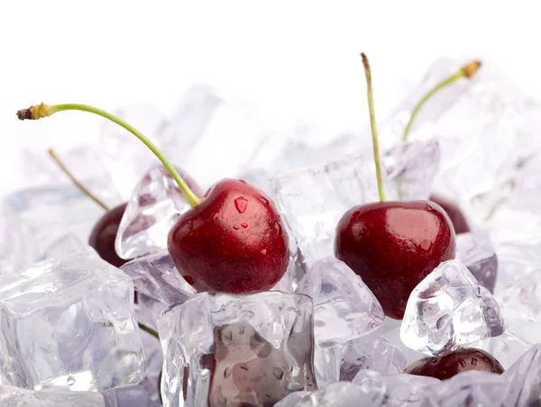 Ice Cherries Fresh Cherries Ice Cubes — Stock Photo, Image