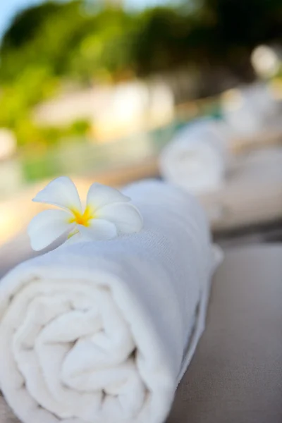 White Towels Tropical White Frangipani Flower Swimming Pool — Stock Photo, Image