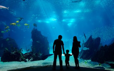 Underwater family clipart