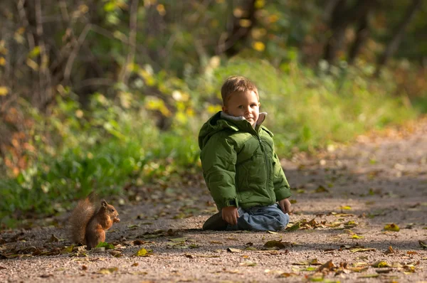 Μικρό Αγόρι Και Σκίουρος Ζεστή Ηλιόλουστη Ημέρα Πτώσης — Φωτογραφία Αρχείου