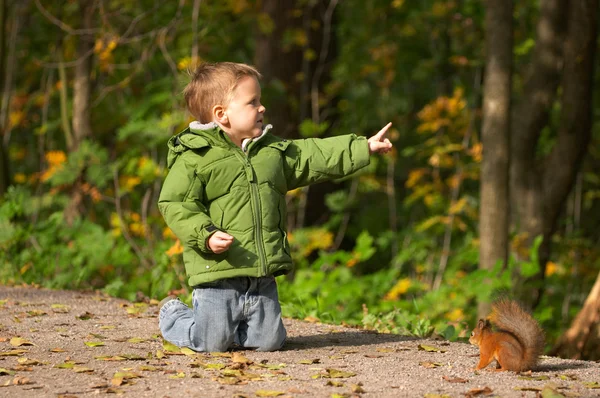 Little boy and squirrel — Stock Photo, Image