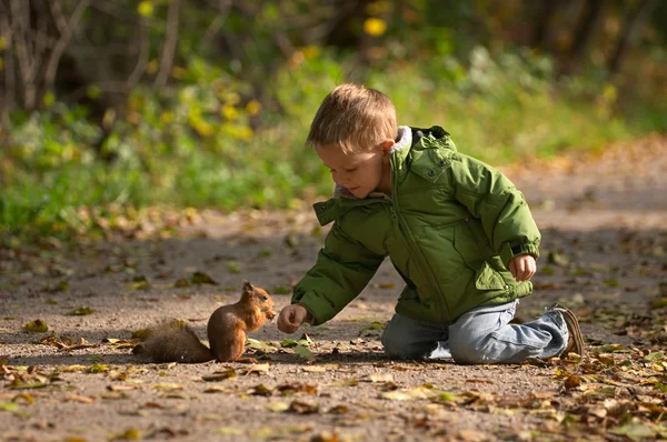 Kleine Jongen Eekhoorn Warme Zonnige Herfstdag — Stockfoto