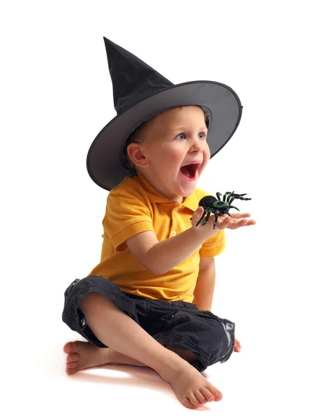 Spinnenjagd Isoliertes Bild Von Schwarzer Spinne Und Kleinem Netten Jungen — Stockfoto