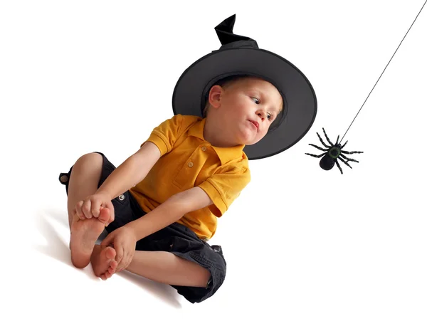 Caccia al ragno — Foto Stock