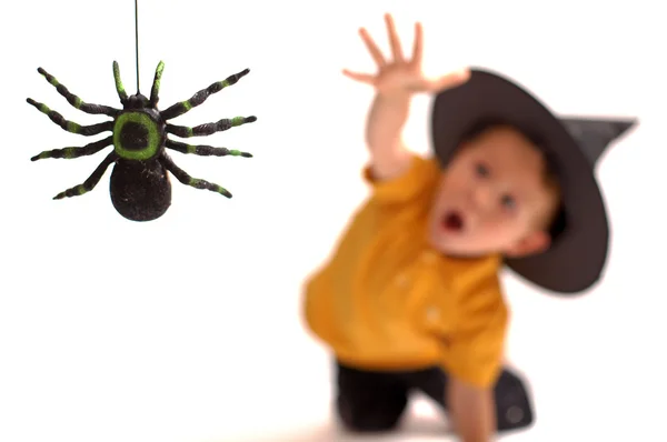 蜘蛛狩り 黒いクモとウィッチ ハット背景の上に小さなかわいい男の子の分離イメージ — ストック写真