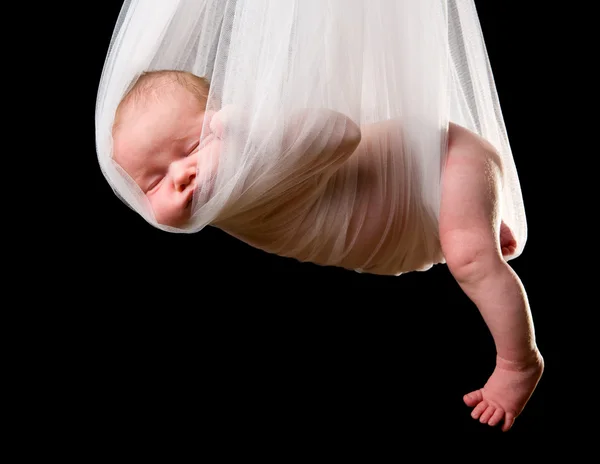 Stork Baby Package Royalty Free Stock Images