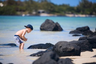 Little boy exploring rocks on ocean beach for crabs and fishes clipart