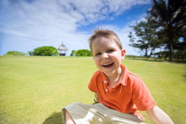 Happy 4 years old boy sitting on green grass at sunny summer day clipart