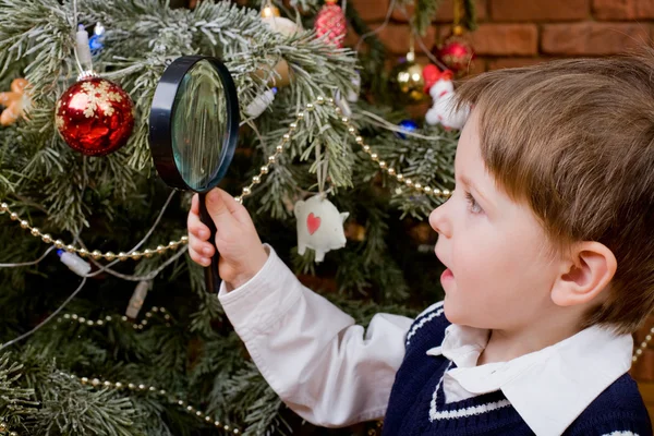 Explorando el árbol de Navidad —  Fotos de Stock