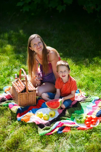 Mutter Und Sohn Picknicken Einem Sonnigen Sommertag — Stockfoto