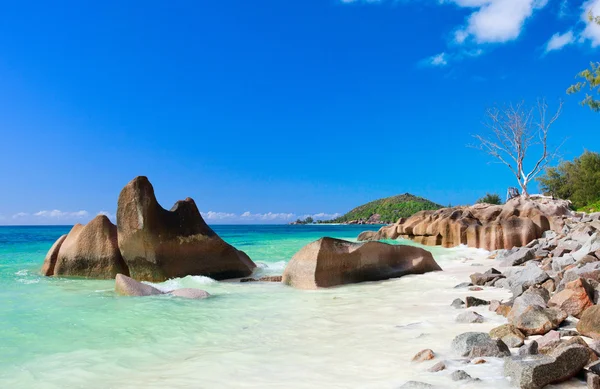 Praia Areia Branca Tropical Idílica Seychelles — Fotografia de Stock