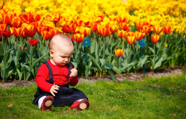 庭で女の赤ちゃん — ストック写真