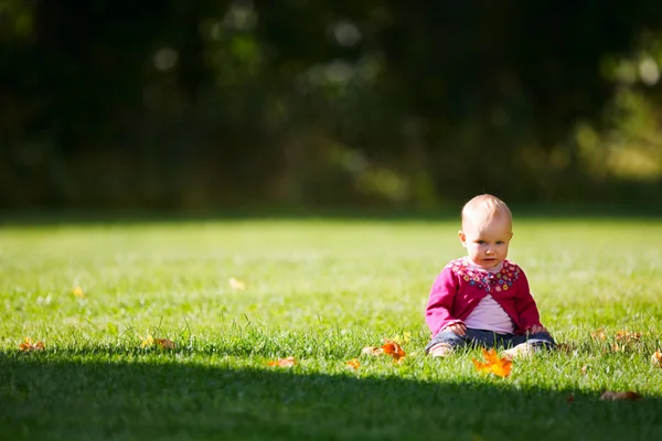 秋の日の美しい公園でかわいい 歳女の子 — ストック写真