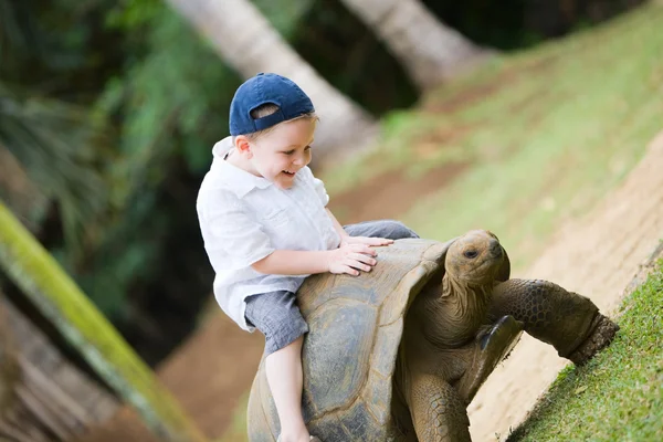 Ridning gigantisk sköldpadda — Stockfoto
