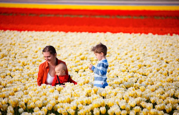 Madre Con Dos Hijos Campo Tulipanes — Foto de Stock