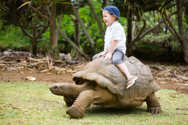 Riding Giant Turtle — Stock Photo, Image