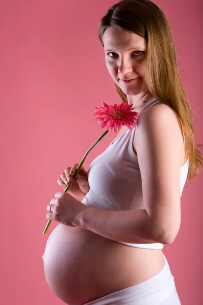 Piękna kobieta w ciąży z gerber kwiat — Zdjęcie stockowe