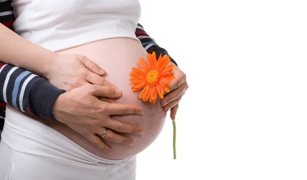 Wspieranie Ręce Tydzień Ciąży Brzuch Przytrzymaj Przez Rodziców Ręce Białym — Zdjęcie stockowe