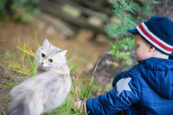 Boy Playing Cat Outdoors Autumn Day — Stock Photo, Image