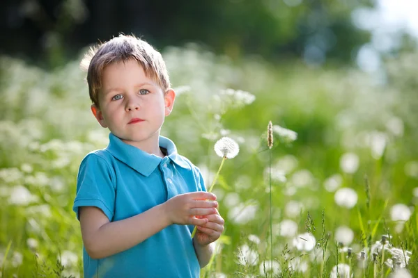 日当たりの良い夏の日に屋外のタンポポとかわいい 歳の少年 — ストック写真