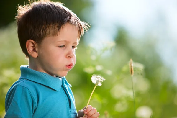 日当たりの良い夏の日に屋外のタンポポとかわいい 歳の少年 — ストック写真