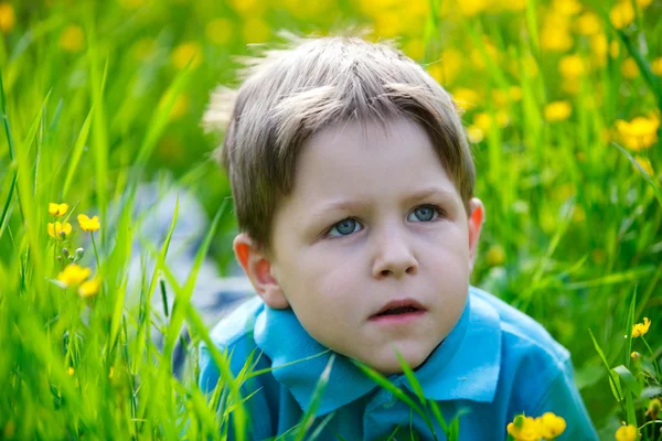 Malý chlapec v louce — Stock fotografie