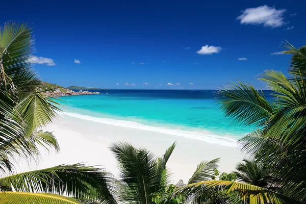 Idilli Trópusi Fehér Homokos Strand Seychelle Szigeteken — Stock Fotó