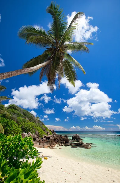 Impressionante Praia Tropical Ilha Mahe Seychelles — Fotografia de Stock
