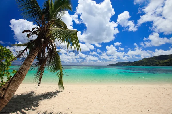 Wspaniała Tropikalna Plaża Wyspie Mahe Seszelach — Zdjęcie stockowe