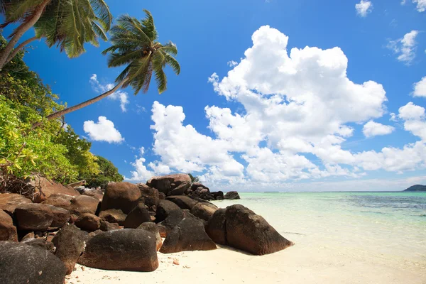 Потрясающий пляж на Сейшельских островах — стоковое фото
