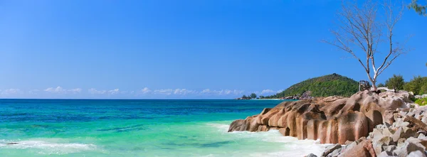 Панорама Потрясающего Побережья Острова Праслин Сейшельских Островах — стоковое фото