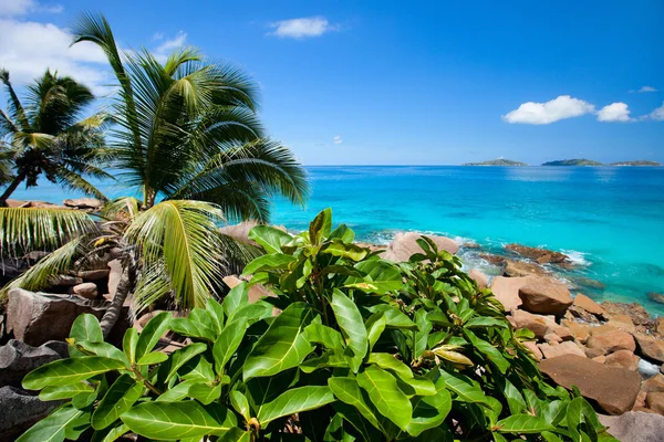 Hermosa Costa Rocosa Aguas Del Océano Turquesa Seychelles —  Fotos de Stock