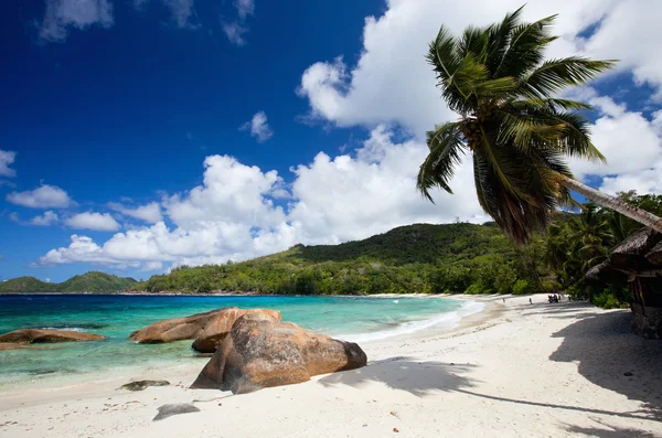Praia Tropical Idílica Ilha Mahe Seychelles — Fotografia de Stock
