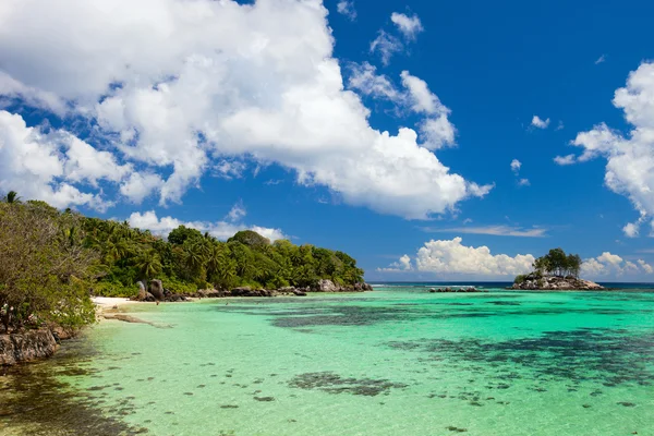Spiaggia Tropicale Idilliaca Sull Isola Mahe Alle Seychelles — Foto Stock