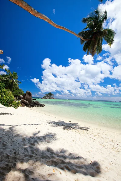 Идиллический тропический пляж — стоковое фото