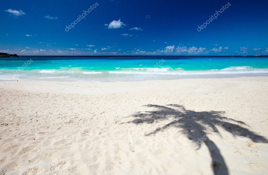 Palm tree shadow on tropical white sand beach