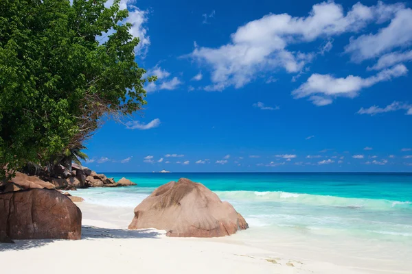 Spokojnej Plaży Wyspie Digue Seszelach — Zdjęcie stockowe