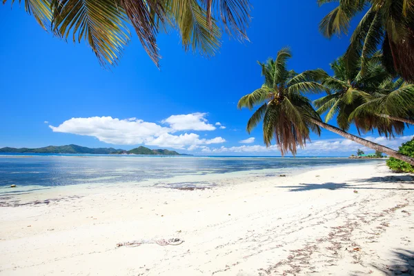 Perfektní pláž na Seychelách — Stock fotografie