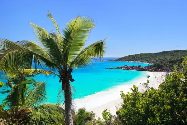 完美的海滩在塞舌尔与白砂 绿松石水域 棕榈树和蓝蓝的天空 — 图库照片