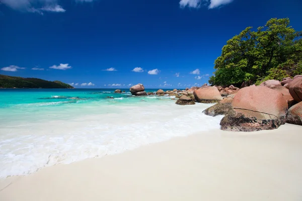 Prachtig Tropisch Strand Praslin Island Seychellen — Stockfoto