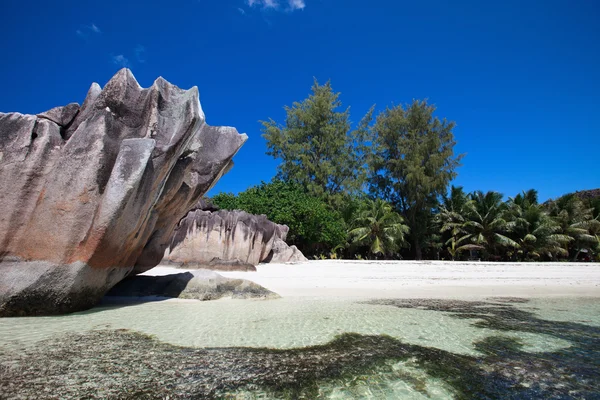 stock image Idyllic tropical white sand beach in Seychelles