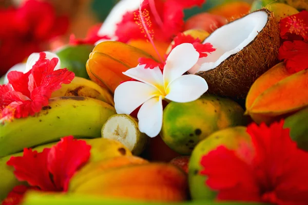 Kokosnüsse, Früchte und tropische Blumen — Stockfoto