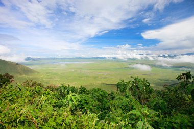 Ngorongoro crater area in Tanzania clipart