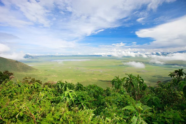 Área da cratera de Ngorongoro na Tanzânia — Fotografia de Stock