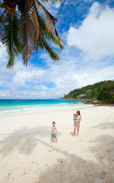 与站在令人惊叹的热带海滩棕榈下的两个孩子的母亲 — 图库照片