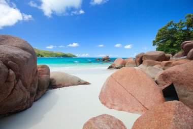 Idyllic beach in Seychelles clipart