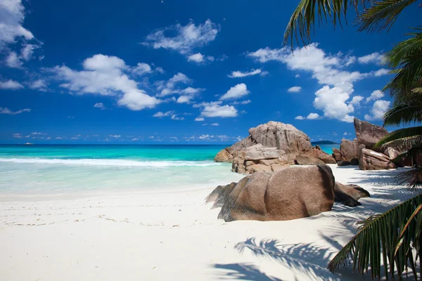 Splendida Vista Sulla Spiaggia Idilliaca Delle Seychelles — Foto Stock